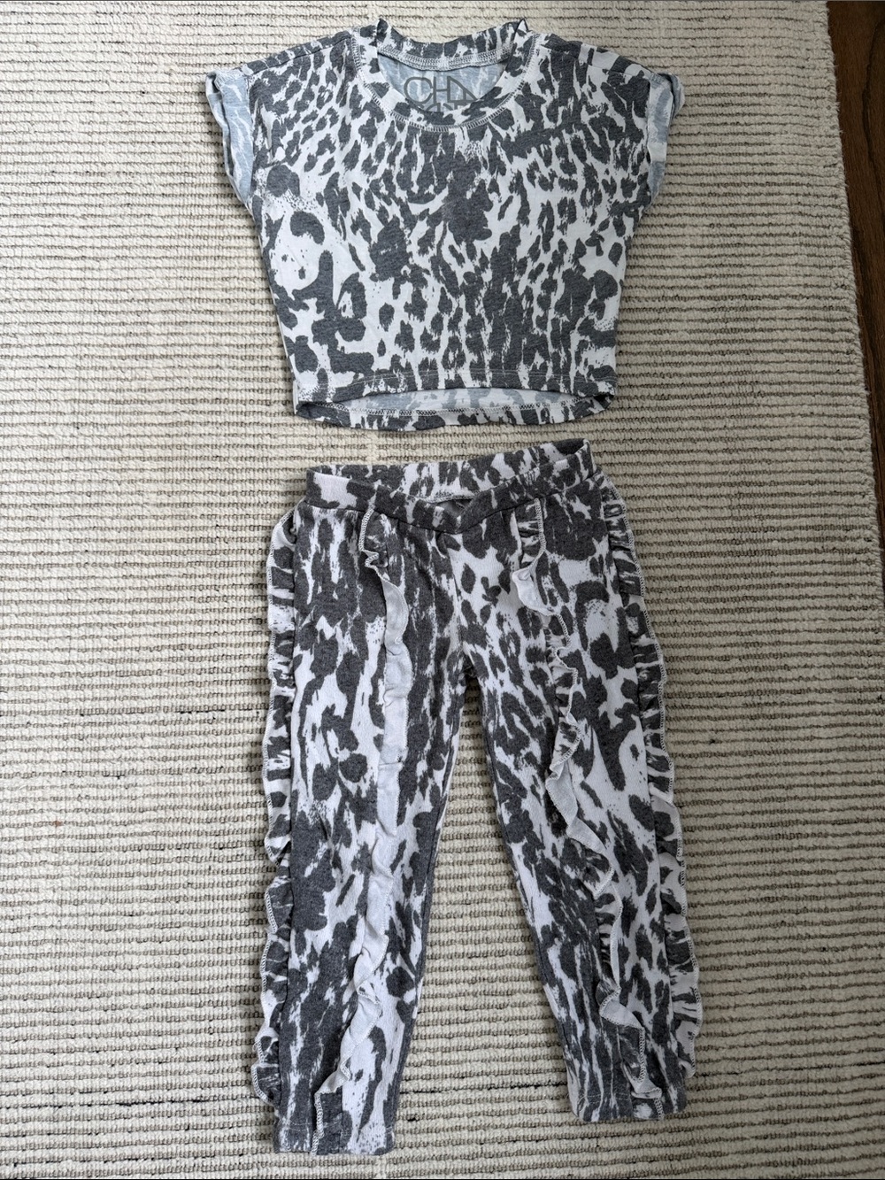 Chaser Size 2 Animal Print Matching Set